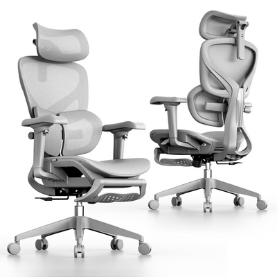 OTO Zenpex Ergonomic Office Chair for Home Office & Gaming - Gray