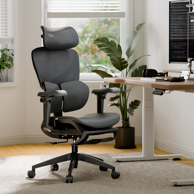 OTO Zenpex Ergonomic Office Chair for Home Office & Gaming - Black