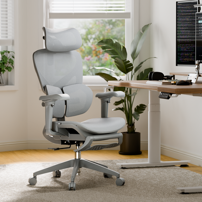 OTO Zenpex Ergonomic Office Chair for Home Office & Gaming - Gray