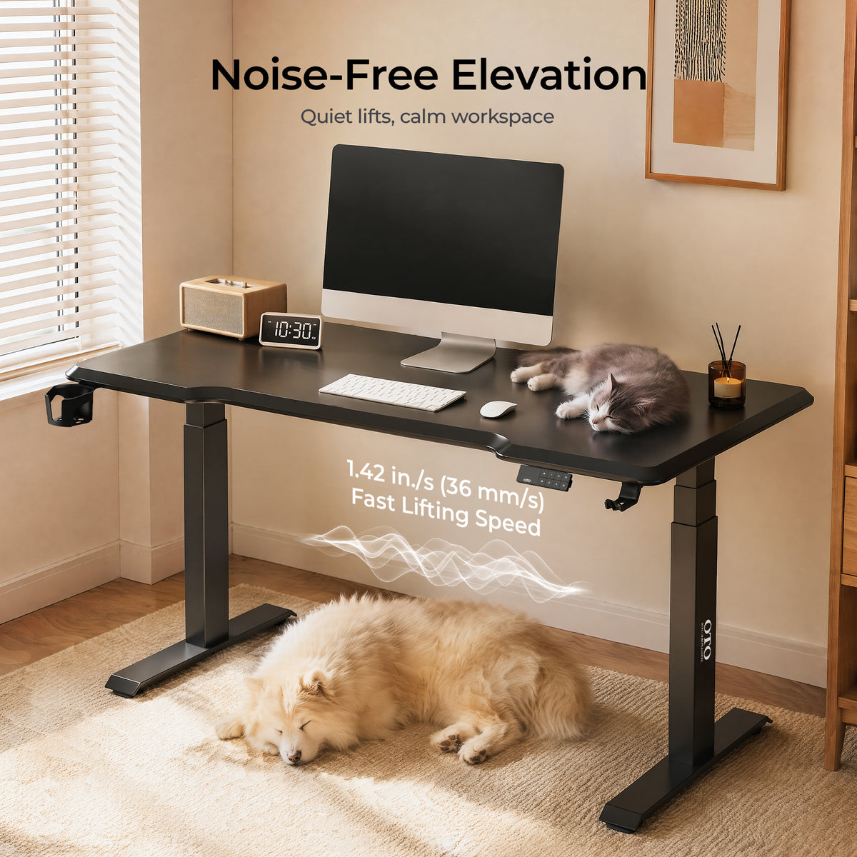 OTO LiftDesk 5 Electric Height Adjustable Standing Desk