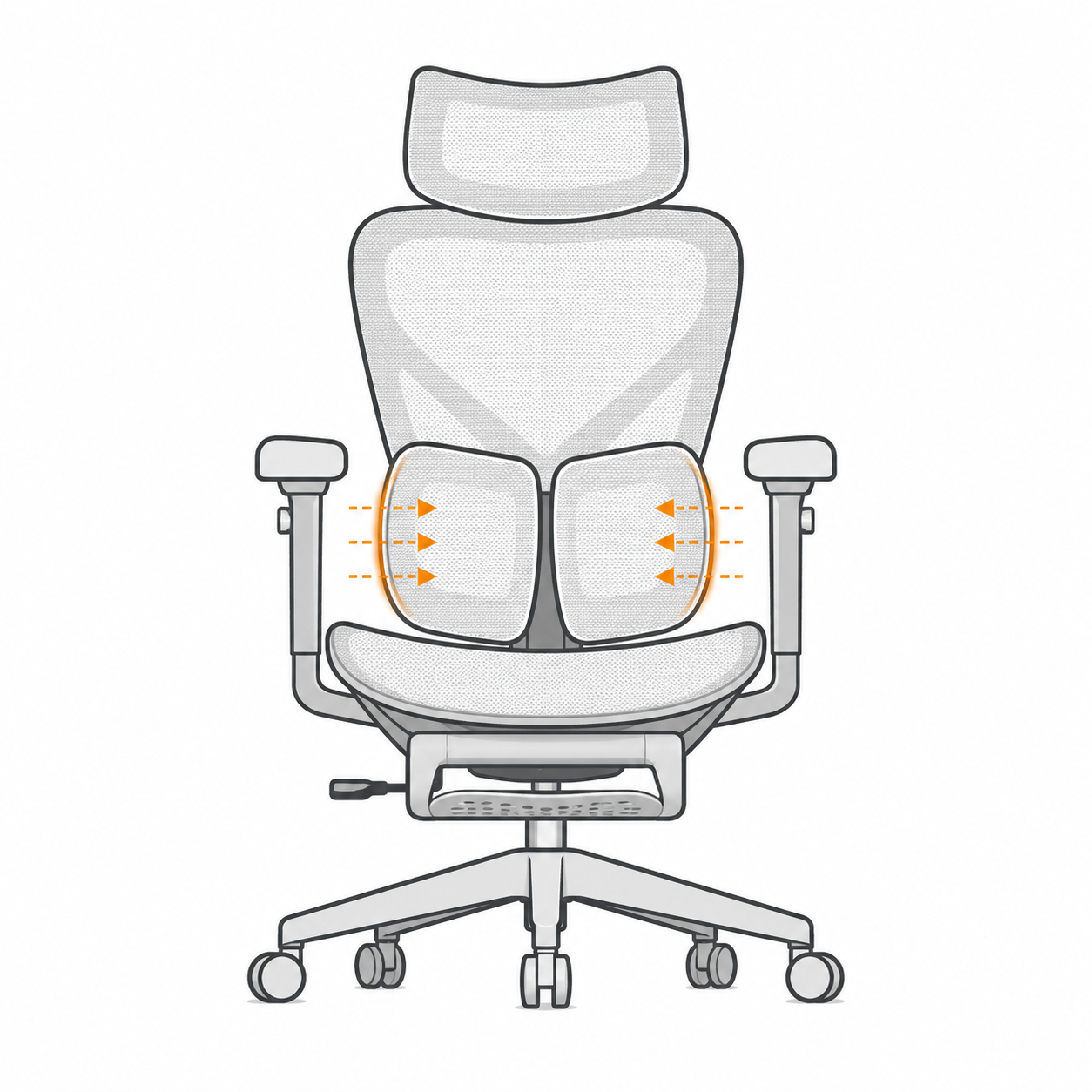 Dynamic Lumbar